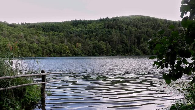 Lake scenery, View of Lake Montiggl - Monticolo, Eppan - Appiano, South Tyrol, Italy, ripples, forest,