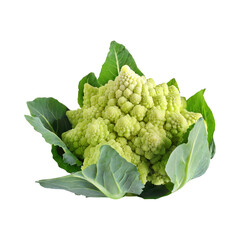 Green And White Cauliflower With A Flower-Like Shape, Isolated Transparent Background
