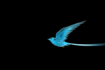 Obraz premium This captivating image features a stunning blue bird mid-flight with outstretched wings, showcasing intricate feather details and a graceful silhouette. The deep black background accentuates the bird