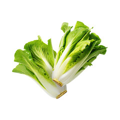 Floating Of Endive With A Crisp Texture With Sliced, Without Shadow, Isolated Transparent Background