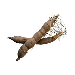 Fototapeta premium Floating Of Brown Cassava With Sliced Of Cassava,Earthy, Root ,Isolated Transparent Background