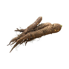 Floating Of Brown Cassava With Sliced Of Cassava,Earthy, Root ,Isolated Transparent Background
