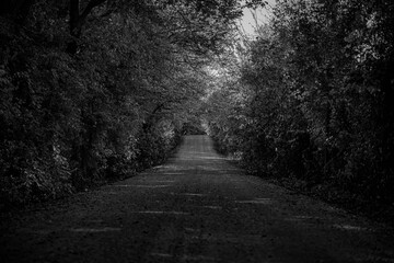 Country Road B&W