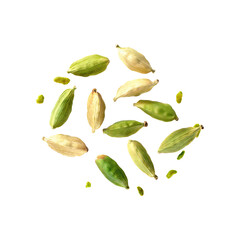 Floating Of Green Cardamom, Isolated Transparent Background