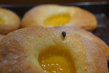 Fly on sugar-covered pastry with yellow filing