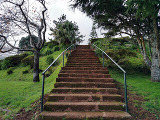 Stone steps overgrown with moss that lead up a hill (Sao Miguel, Azores)