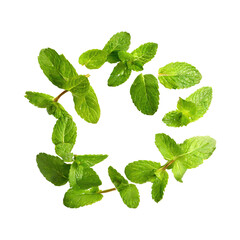 Floating Of One Fresh Mint Leaf, Without Shadow,Isolated Transparent Background