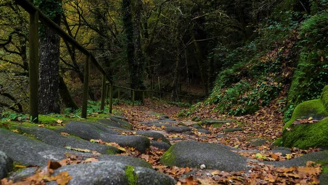Stone Path to San Pedro de Rocas monastery, Galicia