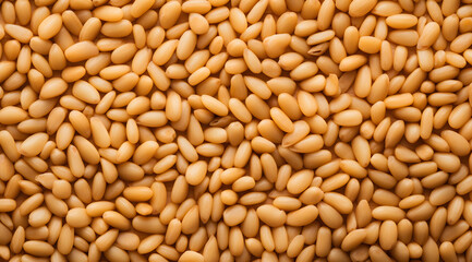 Fototapeta premium Pine Nuts Texture Close-Up: A dense texture of fresh pine nuts with a golden hue