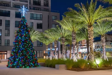 Photo sur Plexiglas Clearwater Beach, Floride Christmas Tree and palm trees. Clearwater Beach Florida. Fake, plastic or artificial classic blue spruce for Christmas celebration. Merry Christmas. Happy New Year. Holiday decorations or ornaments