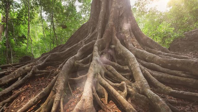 生命力あふれる木の根っこ 幹 AI画像