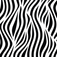 Fototapeta na wymiar zebra skin pattern, texture background isolated design