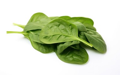 fresh spinach freisolated on white background