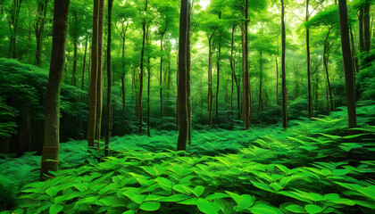 Fototapeta premium Lush Green Forests: Explore dense and vibrant forests, emphasizing nature and biodiversity.
