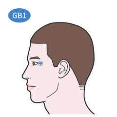동자료 경혈 경락 혈자리 일러스트