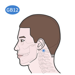 완골혈 경혈 경락 혈자리 일러스트