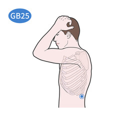 경문혈 경혈 경락 혈자리 일러스트