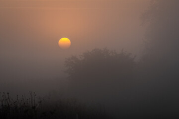 wschodzące słońce przez mgłę ciepłym latem nad polami i łąkami