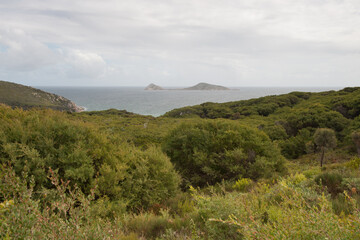 Picnic Bay Wilsons Promontory National Park