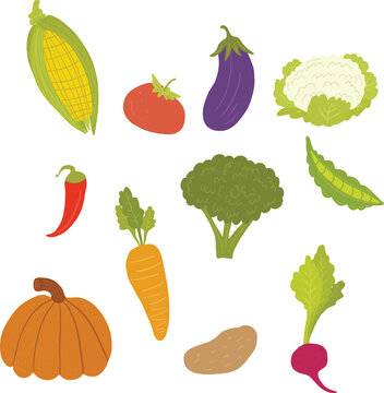 Collection of fresh vegetables in cartoon style