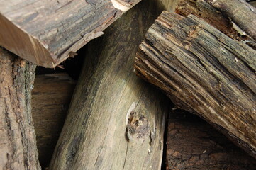 Pieces of tree trunks in wheelbarrow in the field.
