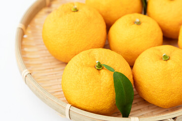 冬至〜柚子のイメージ01