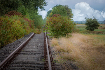 Fototapeta premium Serene Countryside Abandoned Railroad