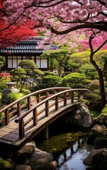Quiet Asian Garden Photography