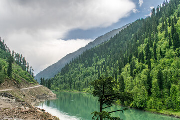 Teal colored River Neelum with beautiful forest of different shades of green trees on its banks