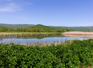 Mountain lakes - sources, springs of clean drinking water in nature, spring walks in the bosom of nature.