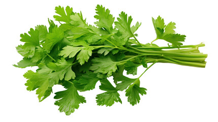 parsley leaves, twigs, and a small bunch isolated on transparent and white background.PNG image.