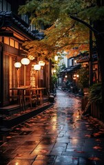 Fototapeta na wymiar Photograph of a hushed Japanese street at night