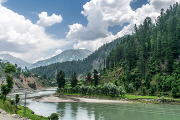 Teal colored River Neelum on a cloudy day with beautiful forest, green meadow and white sand on its banks © Zainab