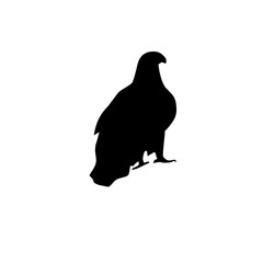 Bird silhouette in PNG format