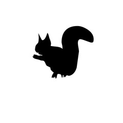 Squirrel silhouette in PNG format