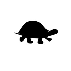 Turtle silhouette in PNG format