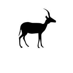 Deer silhouette in PNG format