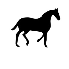 horse silhouette vector