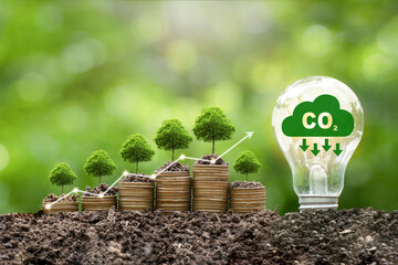 Carbon credit concept.Light bulb and tree growing on  stack of coins with digital growth graph....