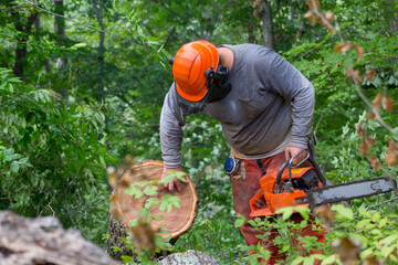 Sustainable logging in Russell Springs Kentucky