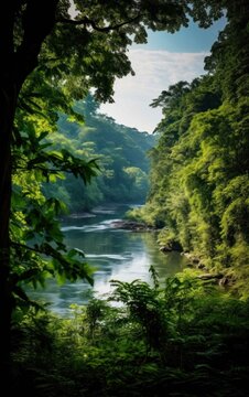 A Lush Green Forest by the River