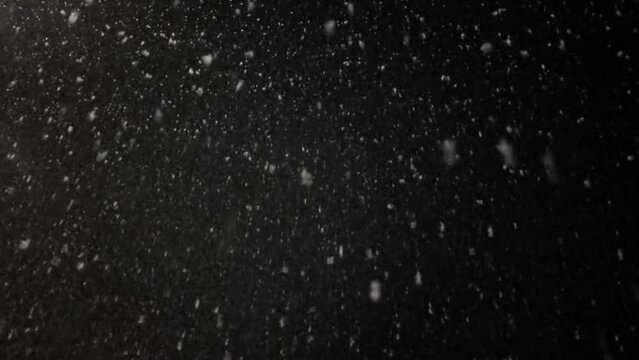 Real white snow that slowly falls against background of black sky.