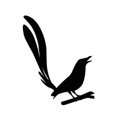 Murai Batu Bird Silhouette 