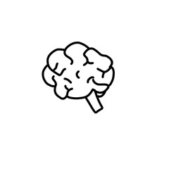 Hand Drawn Brain 