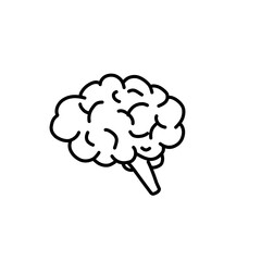 Hand Drawn Brain 