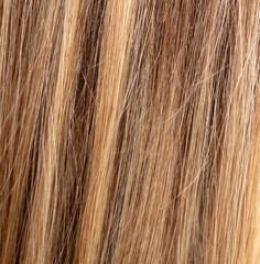 Naklejka premium Highlighted women's hair as a background. Texture