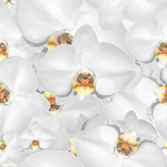 Seamless orchid bouquet high resolution banner
