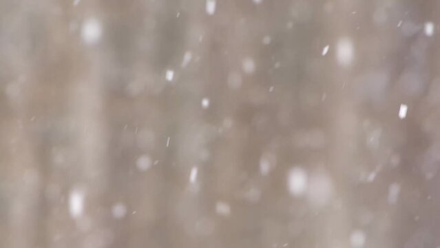 冬の森に降る雪。背景のボケ。