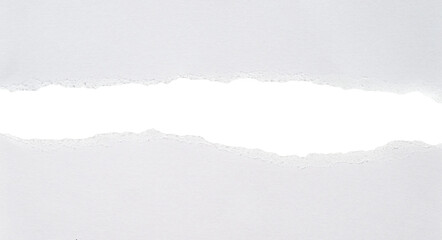 torn blank pages with uneven texture edges. set of ripped white paper sheets png isolated on...