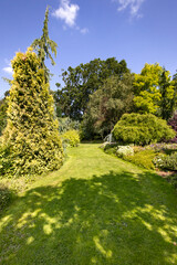 garden view in summer